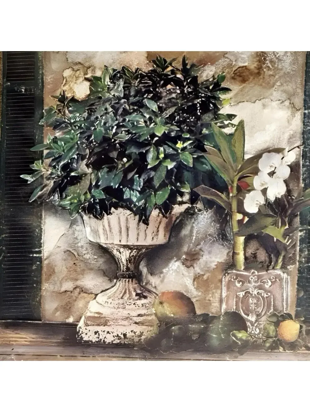 Pair of Framed Still Life Art Prints by C. Winterle Olson